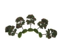 FRCOLOR 5 Pièces Miniature Simulation Apple Trees with Moss Table Micro Landscape Model Accessories for Architectural and Train Scenery Decoration