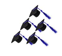 FRCOLOR 5 Pièces Présent de Diplôme Bouteille de Vin à Pompon de Mini-Chapeau de Docteur Bleu, Couverture de Thèse de Doctorat en Tissu Non Tissé, Décoration Festive pour Fête de Remise de