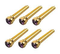 FRCOLOR 6 Pièces Acoustic Guitar Bridge Pins Brass Secure String Fixing Pegs For Compatibility And Improved Tone Quality Replacement Parts For DIY Studio And Stage Use