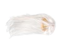 FRCOLOR anime masculine blanche cosplay hommes perruques longues Pour des hommes synthétique synthetic wig perruques blanches pour longue blanche