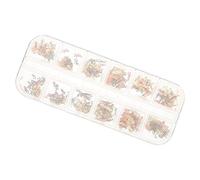 FRCOLOR Boîte de Breloques pour Ongles Zodiaque Douze Constellations Décorations pour Nail Art Manucure