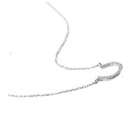 FRCOLOR Chaîne de clavicule en fer à cheval charbonniers Collier de chevaux pour filles collier de chaîne petit collier en fer à cheval collier pour femme Collier créatif alliage