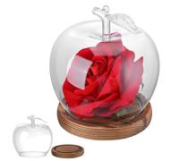 FRCOLOR Couvercle en Verre Créatif pour Figurines et Fleurs, Protection Stable Fond Plat, Design Fleur Éternelle Vivid pour Décoration Saint-Valentin