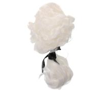 FRCOLOR De Juge Ondulée En Fibres Synthétiques Pour Hommes Cosplay Costume Scène Légère Respirante Réutilisable