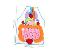 FRCOLOR Jouets pour Organes Internes Humains Cognitifs Tablier D'organes D'aide à l'enseignement Tablier 3D Jouets Éducatifs pour Les Enfants Tabliers pour Enfants Peluche