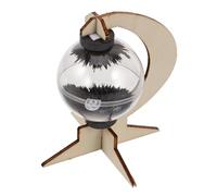 FRCOLOR Kit Expérimentation Magnétisme DIY Matériaux Scientifiques pour Garçon Fille Apprentissage Accessible des Champs Magnétiques Création Manuelle et Projet Éducatif