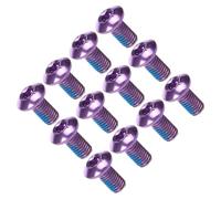 FRCOLOR Lot de 12 Vis de Plaquette de Frein pour Vélo VTT en Acier Titane Pourpre, Haute Résistance et Anti-Corrosion, Compatibles Freins à Disque 6 Trous pour Vélos Électriques