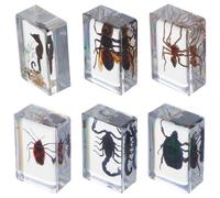 FRCOLOR Lot de 6 Spécimens D’insectes en Résine Robuste, Presse-papiers Éducatif pour Enseignement des Sciences Biologiques, Collection D’insectes Naturels pour Bureau et Salle de Classe