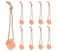FRCOLOR Lot de 9 Blocs de sel Rose à lécher sur Corde, Miniatures en | Complément d'électrolytes et oligo-éléments pour chevaux, à suspendre dans l'enclos de l'écurie, friandise