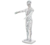 FRCOLOR Modèle Acupuncture Corps Humain Masculin pour Formation Points de Pression et Méridiens Mannequin Éducatif Blanc pour Apprentissage Médecine Traditionnelle Chinoise