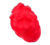FRCOLOR Modèle Anatomique Cœur Réaliste pour Enseignement Outil Pédagogique pour Écoles Médicales et Simulation Dorgane Humain pour Apprentissage Interactif Classe