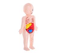 FRCOLOR Modèle Anatomique du Corps Humain 3D pour Garçon et Filles - Puzzle Éducatif D’Organes Détachables, Kit Scientifique Ludique D’Apprentissage Anatomie et Physiologie Humaines, Jeu