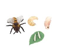 FRCOLOR Modèle Cycle de Vie Abeille Éducatif Montessori pour Garçon Fille Figurines Pédagogiques Simulant Abeille Facile à Manipuler et Nettoyer pour Apprentissage Précoce