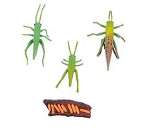 FRCOLOR Modèle de Cycle de Vie Insecte pour Éducation Précoce Décor de Tabletop Kit Figurines Insectes Simulation Cricket