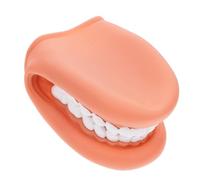 FRCOLOR Modèle de Dents Pédagogiques en Pvc Réaliste pour Enseignement, Modèle de Démonstration Buccale Compact et Portable, Outil Éducatif pour Apprentissage du Brossage et Anatomie