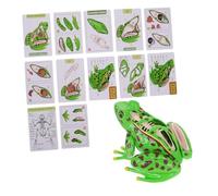 FRCOLOR Modèle de Éducatif Démontable pour Garçon Fille Kit de Dissection Stem pour Scientifique et Apprentissage Scolaire