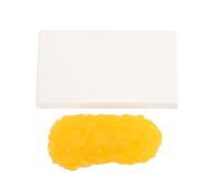 FRCOLOR Modèle de Graisse Anatomique Lb Rappel Motivation Perte de Poids pour Nutritionnistes et Salles de Fitness Démonstration Réaliste et Éducative