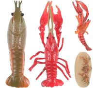 FRCOLOR Modèle de Homard Éducatif en Plastique pour Garçon et Filles Jouet Cognitif de Simulation Jouets Créatifs Cycle de Vie pour L'Apprentissage 1 Ensemble