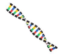 FRCOLOR Modèle Double Éducatif Bases Plastique pour Enseignement Recherche et Démonstrations Scientifiques Classe