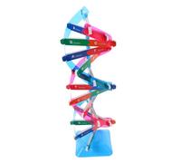FRCOLOR Modèle Double Hélice Éducatif Compact Kit Scientifique Précis pour Apprentissage Biologique et Exploration Génétique Assembleur pour Étudiants