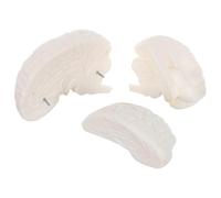 FRCOLOR Outil De Classe De Sciences Modèle De Section Transversale De Fonction Cérébrale Humaine Outil D'Étude De Psychologie Du Cerveau Modèle D'Anatomie