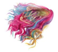 FRCOLOR Perruque bouclée de couleur arc-en-ciel perruques de sirène pour femmes Cosplay Wig Cap Fil haute température