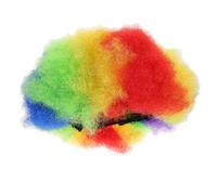 FRCOLOR Perruque Cosplay Afro Bouclée Colorée Synthétique Perruque de Fête Confortable et pour Déguisement Carnaval à Thème et Halloween