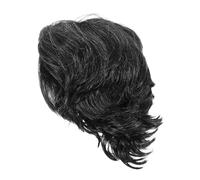 FRCOLOR Perruque Courte Homme Cosplay Style Rock Perruque Soirée Coiffure Amusante Quotidienne