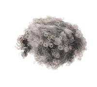 FRCOLOR Perruque De Cheveux Bouclés Perruques Pour Adolescentes Filles Perruque Courte Cosplay Extension Perruque Courte Pour Femme Synthétique Dentelle Mignon Fil Haute Température Gris