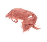 FRCOLOR Perruque Rose Avec Au Milieu Perruque Synthétique Longue Pour Fête Quotidienne Et Usage