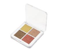 FRCOLOR Pigment Pour En 4 Couleurs Chatoyantes - Gouache Smudge Pour Nail Art Kit De Peinture À L'eau Portable Avec Couvercle