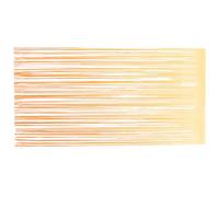 FRCOLOR Rideau de Fond à Franges Portière Multi-Fonctionnelle 1x2m en Plastique Orange pour Décoration de Fête pour Mariages et Anniversaires