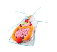 FRCOLOR Tablier 3D Cognitif Garçon et Filles Jouet Éducatif Organes Humains Matériel Pédagogique Préscolaire Compréhension des Viscères Activités d'apprentissage à
