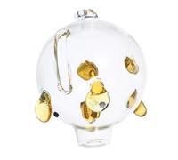 FRCOLOR Tirelire Cochon Verre Borosilicate Transparent pour Garçon Fille Boîte à Économies Créative Cadeau Anniversaire et Décoration de Bureau
