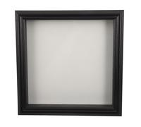 FRCOLOR Vitrine transparente pour spécimens d'insectes, cadre vitrine pour