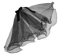 FRCOLOR Voile de Mariée pour Animaux de Compagnie Noir Nœud, Accessoire Coiffure Chien et Chat pour Fêtes, Déguisement Mariage et Séances Photo, Épingle à Cheveux Facile à Fixer