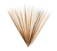 FRCOLOR Whiskers For Plush Toys DIY Kit Realistic Transparent Pointed Animal Whiskers Needle Felting Accessories For Hamster And Cat Plush Crafting Mixed