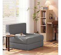 Frcychri Canapé Compressible Convertible, Se Transforme en Lit Simple Et Siège Relax, Mousse Haute Résilience avec Housse Lavable, Canapé Moderne Design, pour Salon, Chambre, Petits Espaces Gray