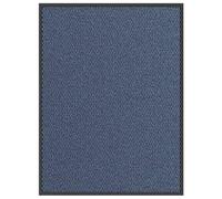 Frdhee Tapis Paillasson Interieur,Paillasson Bleu 80x120 cm pour Chambre, Cuisine, Couloir
