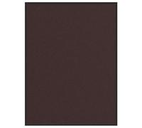 Frdhee Tapis Porte Entree Exterieur,Paillasson Marron 80x120 cm pour Intérieur, Extérieur, Chambre, Cuisine, Entrée