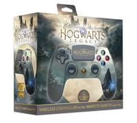 Manette- Hogwarts Legacy - Paysage