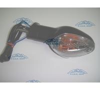FRECCIA Complète 11724 Arrière Gauche Honda 600 CBR RR 2008 2009 2010 2011 2012