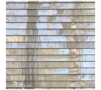 Fred Thomas - Aftering [Cd]