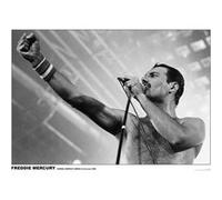 Freddie MERCURY - Wembley Arena 1984 - 59x84cm - Affiche G