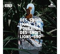 Freddy Boisliveau - Derviche Safari