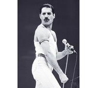 Freddy MERCURY - 59x84cm - Affiche G