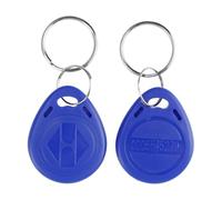 Fredorlokk Lot de 100 porte-clés inductifs RFID 125 kHz - Peut lire et réécrire - NFC - Convient pour système de contrôle d'accès d'entrée de serrure de porte