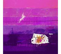 FREE THROW - THOSE DAYS ARE GONE (10 YEAR ANNIVERSARY PINK 2LP) 2 VINYL LP NEUF