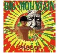 Big Mountain - Free Up