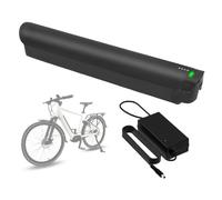 FREEDOH Batterie au Lithium 36 V 48 V, Batterie Lithium-ION 10,4 Ah 12 Ah 12,8 Ah 13,6 Ah 14 Ah pour Moteur 0-700 W avec Chargeur,48v12.8ah